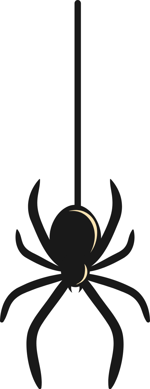 Nhện, con nhện, spider, động vật, animal, halloween