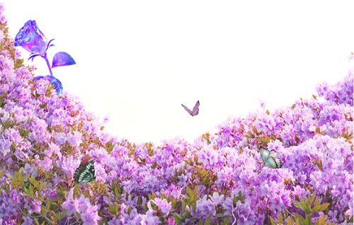 Hoa, flower, hoa lá, purple, lá, leaf, gradient 4