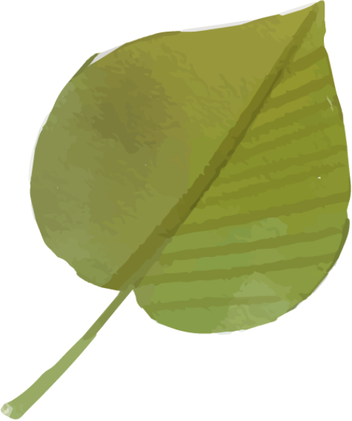 Lá, lá cây, leaf, leave, thiên nhiên, natural, watercolor 3