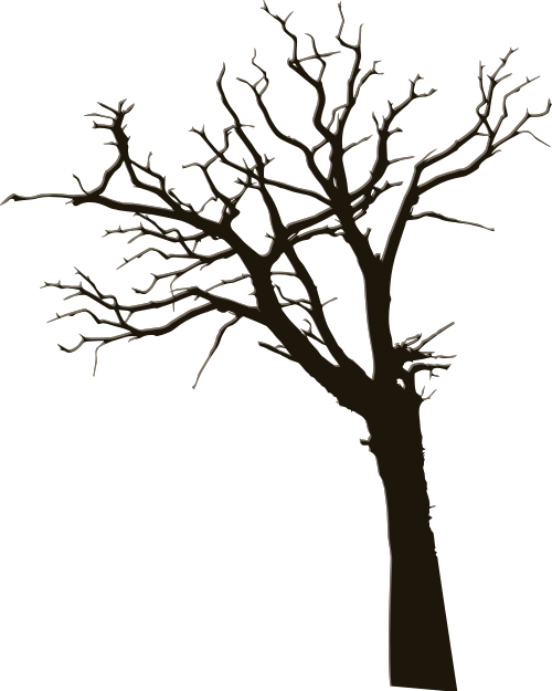 Cây, tree, halloween, lễ hội ma quái