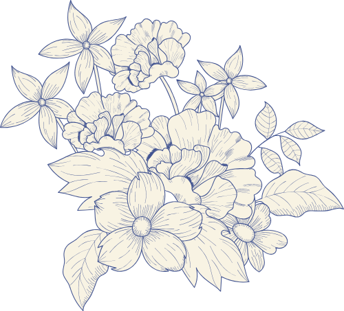 Hoa, nét, flower, line