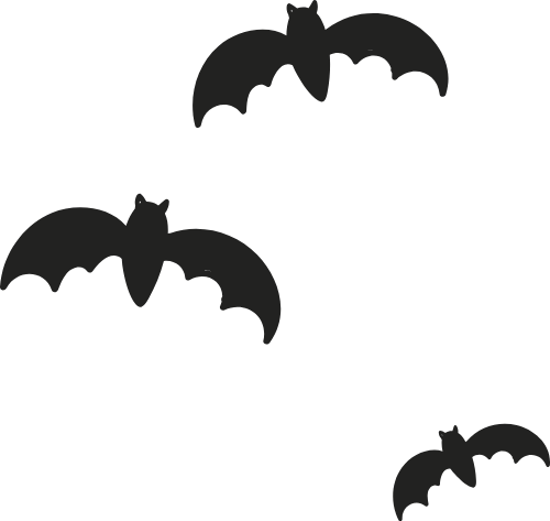 Dơi, con dơi, bat, động vật, animal, halloween