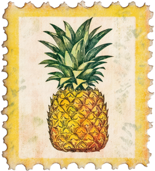 Tem, stamp, nhãn, label, bưu điện, thư, envelope 5