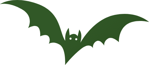 Dơi, con dơi, bat, động vật, animal, halloween
