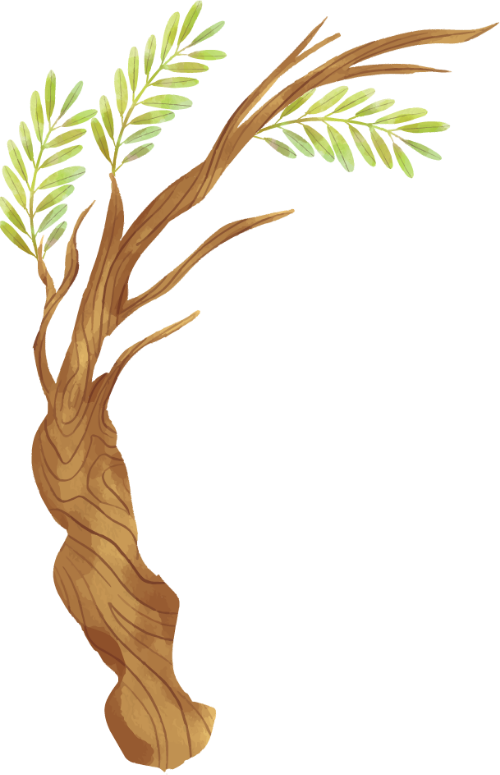 Cây, tree, lá, lá cây, leaf, leave, thiên nhiên, natural, watercolor