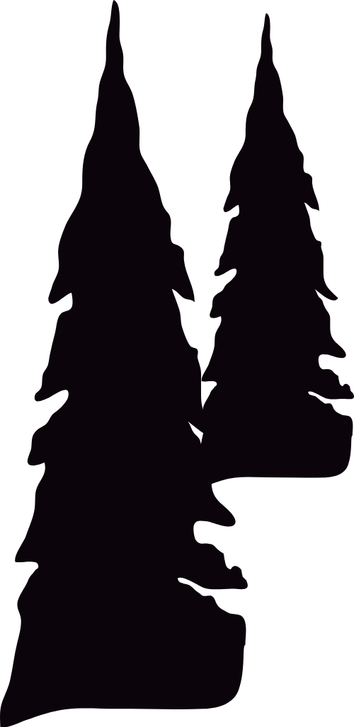 Cây thông, cây,  pine tree, tree, halloween, lễ hội ma quái