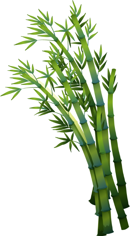 Tre, bamboo, cây xanh, cây, tree, leaf, lá cây
