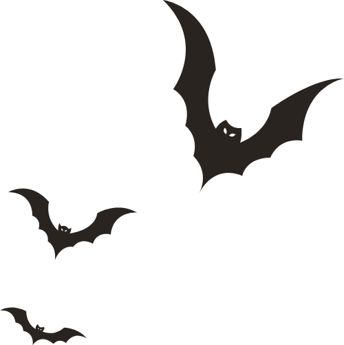 Dơi, con dơi, bat, động vật, animal, halloween