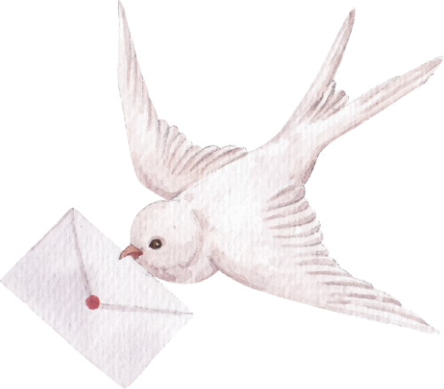 Chim, bồ câu, thư,  bird, dove, letter, màu nước, watercolors