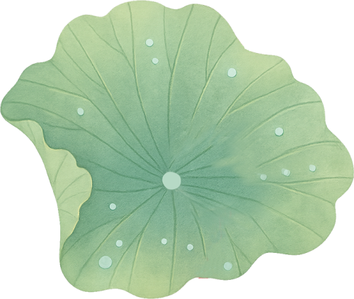 Sen, hoa sen, lotus, hoa, flower, lá sen, leaves