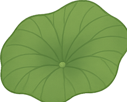 Sen, hoa sen, lotus, hoa, flower, lá sen, leaves 2