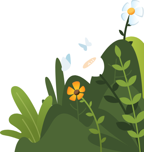 Hoa, flower, cỏ, bãi bỏ, bụi cỏ, grass, lawn, bushes