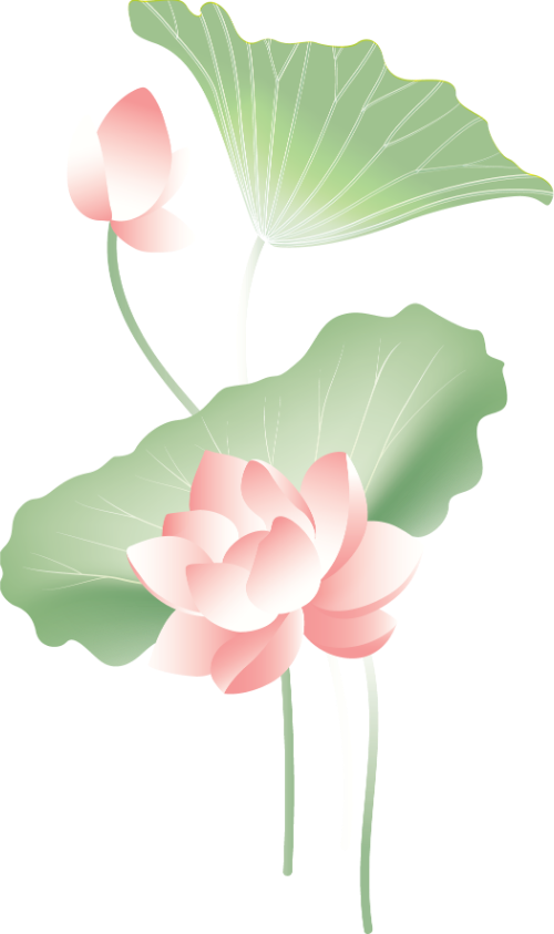 Hoa sen, lotus, hoa, flower, sen, lá sen, leaf, gradient, màu loang 4