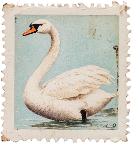 Tem, stamp, nhãn, label, bưu điện, thư, envelope