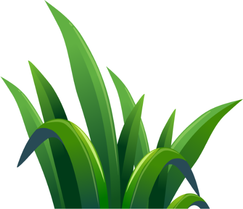 Cỏ, bụi cỏ, grass, cây xanh, cây, tree, leaf, lá cây