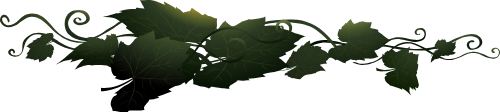 Lá, lá cây, leaf, leaves, halloween, hoa lá, gradient