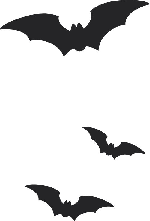 Dơi, con dơi, bat, halloween, horrible