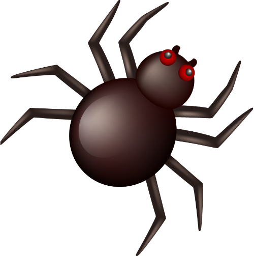Nhện, con nhện, spider, động vật, animal, halloween 2