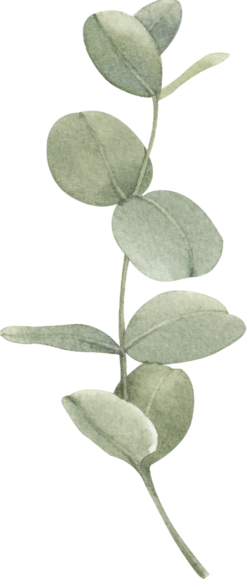 Lá, leaves, màu nước, watercolors