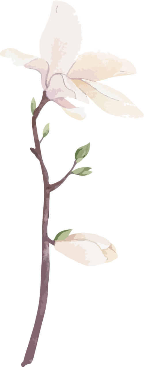 Hoa, flower, màu nước, watercolors