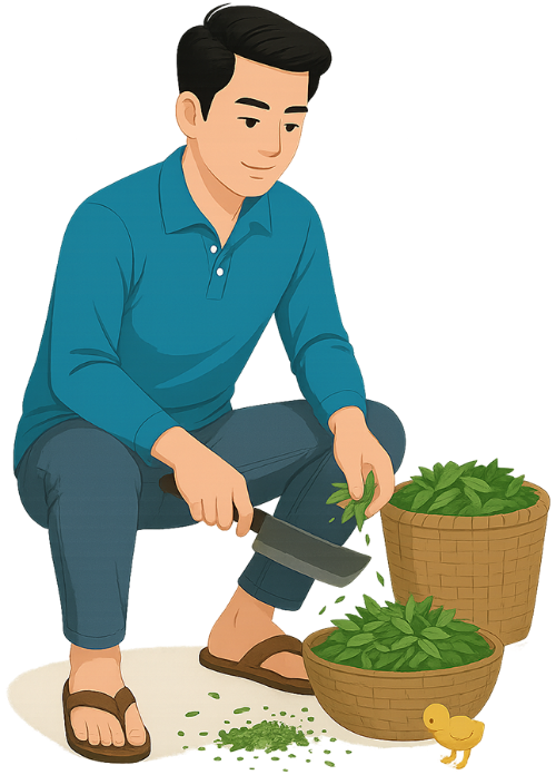 Chàng trai, băm cỏ, đàn ông, dao, giỏ mây, cỏ, young man, chopping grass, man, knife, wicker basket, grass