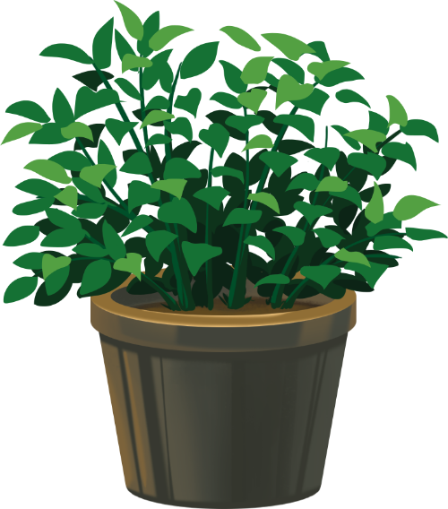 Chậu cây, cây, tree, cây xanh, thiên nhiên, natural, cute, dễ thương, Việt Nam