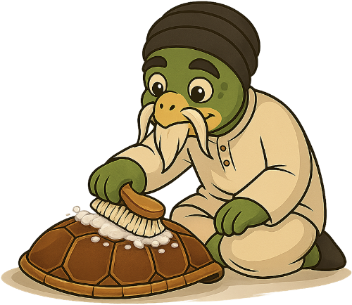 Rùa, dọn vệ sinh, cụ rùa, bàn chải, mai rùa, dễ thương, turtle, cleaning, old turtle, brush, turtle shell, cute