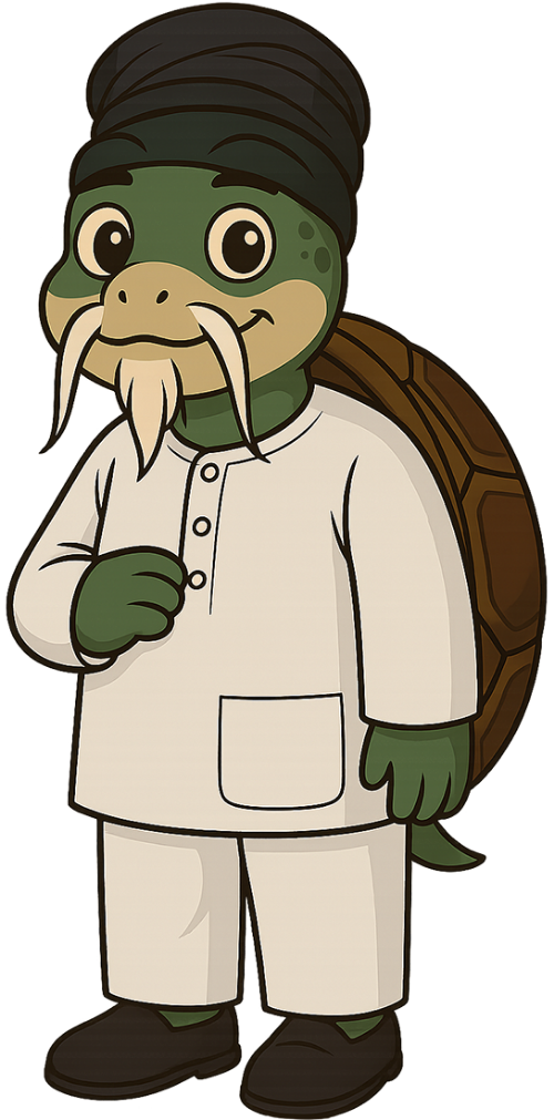 Rùa, vui vẻ, cụ rùa, mai rùa, dễ thương, turtle, cheerful, old turtle, turtle shell, cute