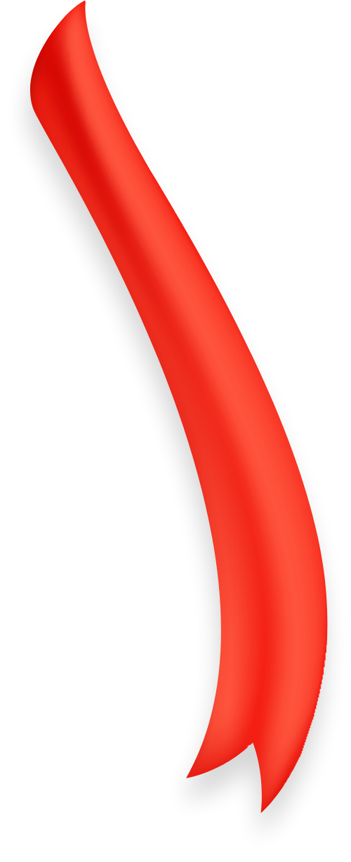 Ruy băng, ribbon, dây ruy băng, dây, nơ, bow