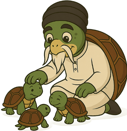 Rùa, vuốt ve, cụ rùa, rùa con, mai rùa, dễ thương, turtle, petting, old turtle, baby turtle, turtle shell, cute