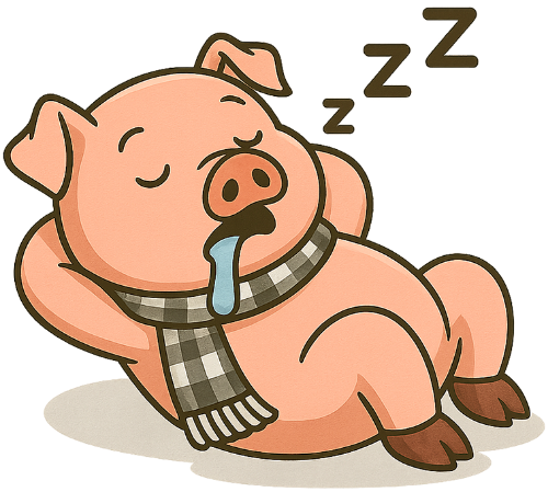 Heo, ngủ, lợn, khăn rằn, dễ thương, pig, sleeping, hog, checkered scarf, cute 3