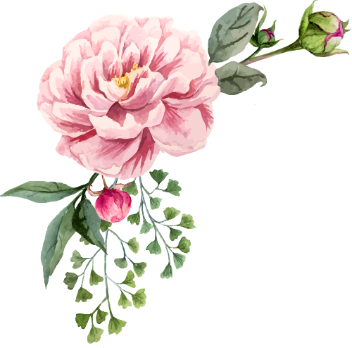 Hoa, màu nước, họa tiết, flowers, watercolors, patterns 4