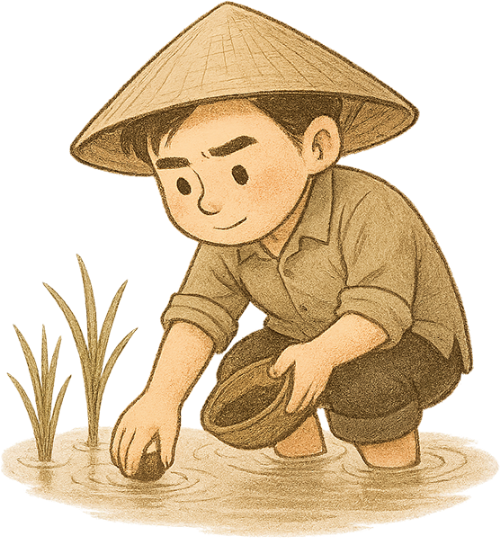 Chàng trai, bắt ốc, đàn ông, nông dân, nón lá, ốc, cây lúa, young man, catching snails, man, farmer, conical hat, snail, rice plant