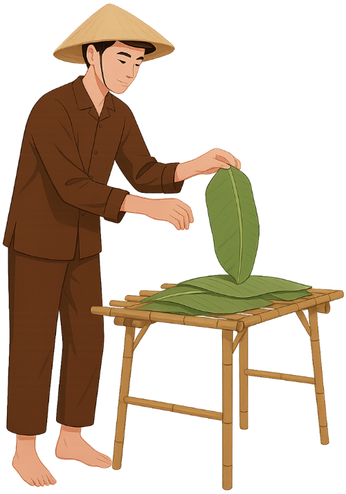 Chàng trai, phơi lá chuối, đàn ông, lá chuối, sạp tre, nón lá, young man, drying banana leaves, man, banana leaf, bamboo rack, conical hat