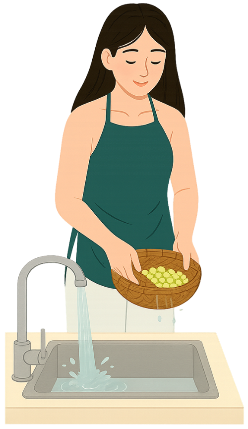 Cô gái, làm sạch, phụ nữ, hạt sen, rổ tre, girl, cleaning, woman, lotus seed, bamboo basket