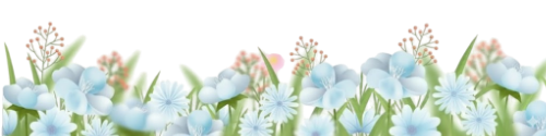 hoa, hoa lá, flower, lá, leaf