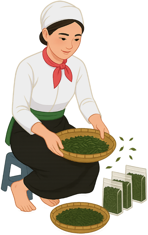 Cô gái, đóng gói, phụ nữ, vui vẻ, lá chè, túi chè, rổ mây, girl, packaging, woman, cheerful, tea leaves, tea bag, wicker basket