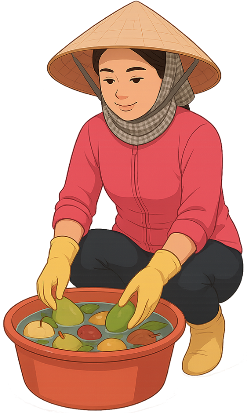 Cô gái, rửa trái cây, phụ nữ, khẩu trang, nón lá, thau nhựa, trái cây, girl, washing fruit, woman, face mask, conical hat, plastic basin, fruit