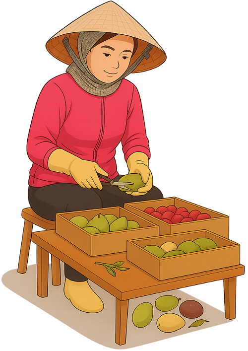 Cô gái, cắt tỉa trái cây, phụ nữ, khẩu trang, nón lá, bàn, ghế, thùng, trái cây, girl, trimming fruit, woman, face mask, conical hat, table, chair, box, fruit