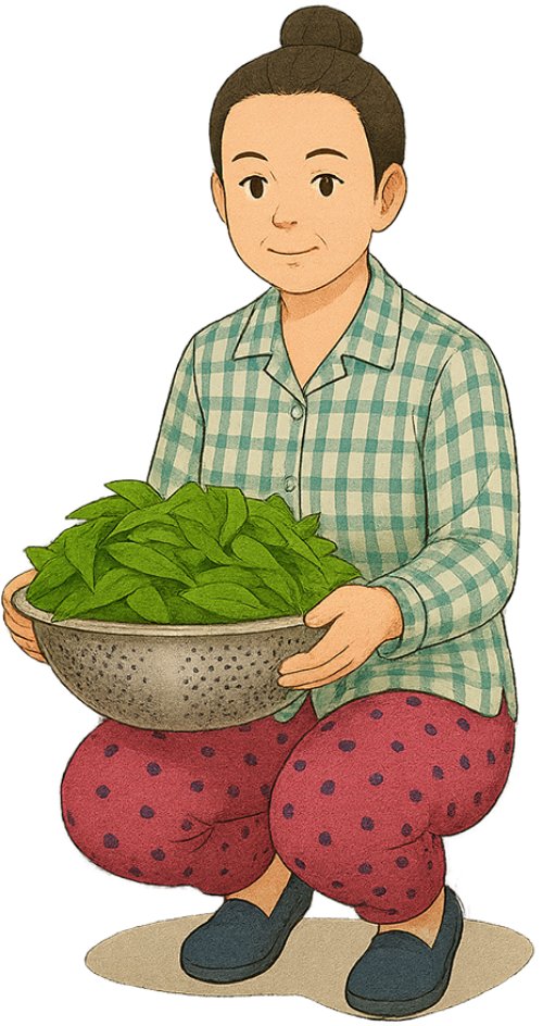Bà cô, rửa rau, phụ nữ, rau, giỏ rau, aunt, washing vegetables, woman, vegetables, basket of vegetables