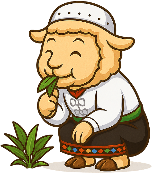 Cừu, ăn cỏ, vui vẻ, trang phục dân tộc, cỏ, dễ thương, sheep, eating grass, cheerful, ethnic costume, grass, cute