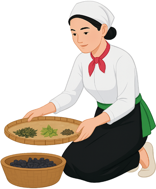 Cô gái, phân loại chè, phụ nữ, vui vẻ, lá chè, rổ mây, girl, sorting tea, woman, cheerful, tea leaves, wicker basket