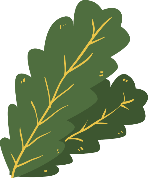 Lá thông, lá, giáng sinh, pine needle, leaf, christmas