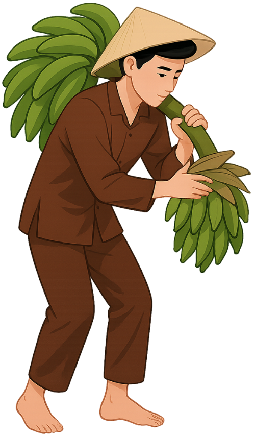 Chàng trai, mang vác, đàn ông, buồng chuối, nón lá, young man, carrying, man, banana bunch, conical hat
