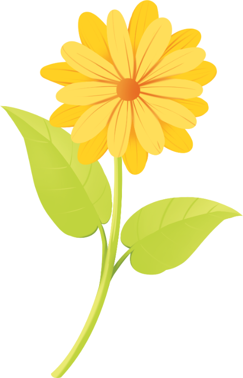Hoa, hoa vàng, flower, hoa lá, cute, dễ thương 3