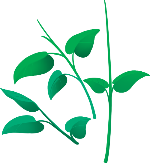 Hoa, hoa vàng, flower, hoa lá, cute, dễ thương 1