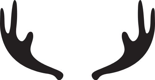 Sừng hươu, sừng, sừng tuần lộc, deer, động vật, animal, abstract, xmas, christmas 2