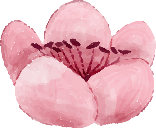 Bông hoa đào, hoa đào, màu hồng, cánh hoa, nhụy hoa, thực vật, trang trí, peach blossom flower, pink, petal, stamen, plant, decoration