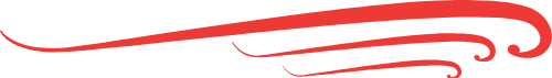 Shape, brush, line, đường kẻ, trang trí, decor 1
