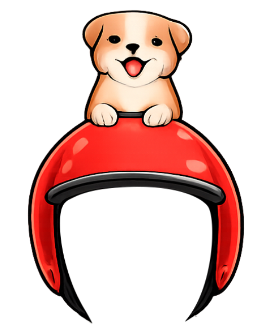 Chó con, đang cười, con vật, mũ bảo hiểm, màu đỏ, puppy, smiling, animal, helmet, red
